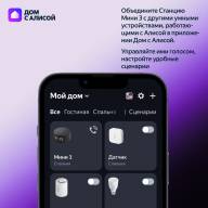 Яндекс.Станция Мини 3 с часами Серый - Яндекс.Станция Мини 3 с часами Серый