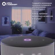 Яндекс.Станция Мини 3 с часами Серый - Яндекс.Станция Мини 3 с часами Серый